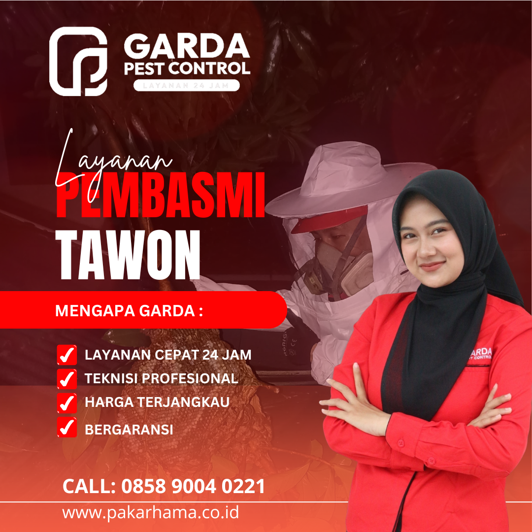 Jasa Pembasmi Tawon di Pekalongan Solusi Aman & Profesional