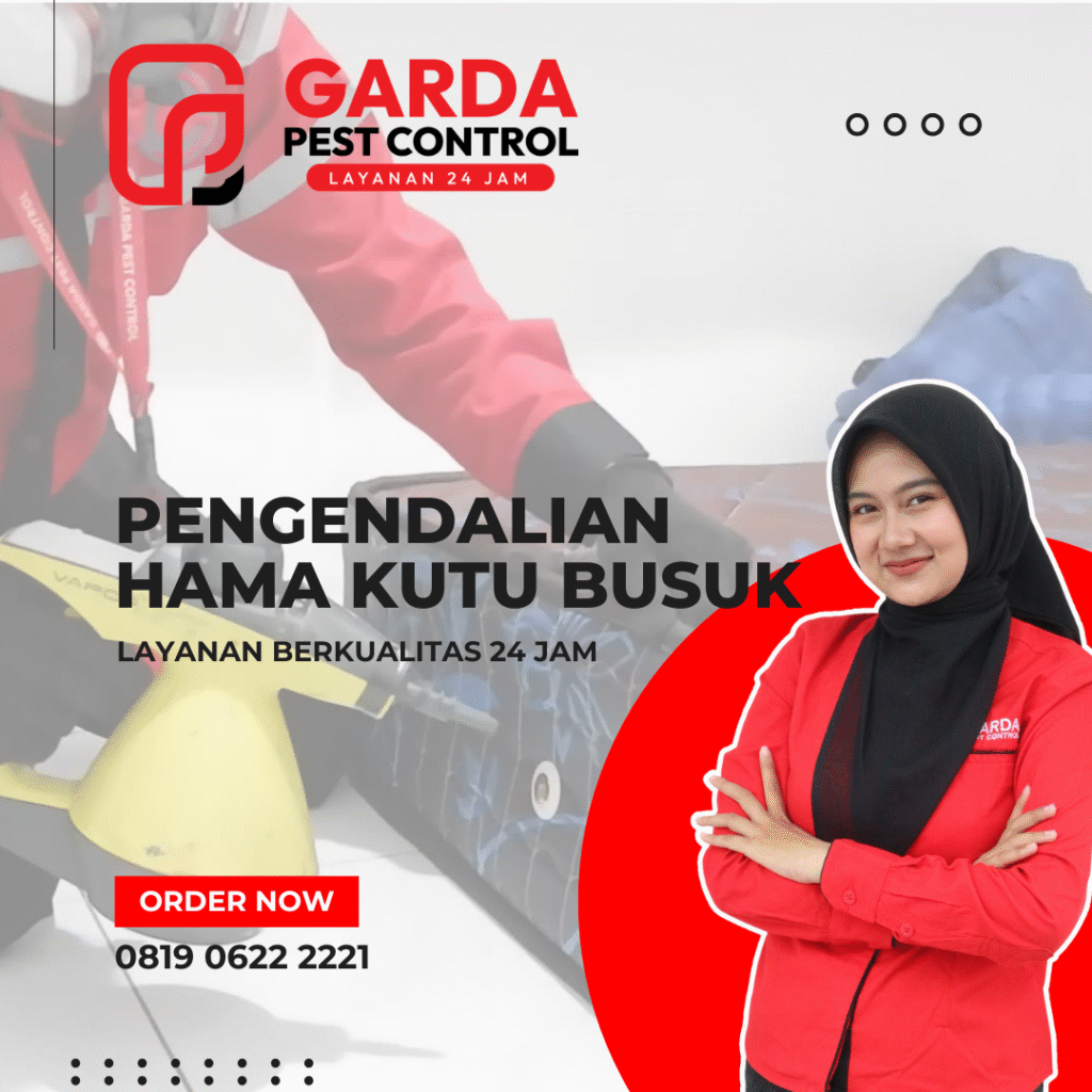 Jasa Pembasmi Tinggi Kutu Busuk di Pekalongan Bergaransi