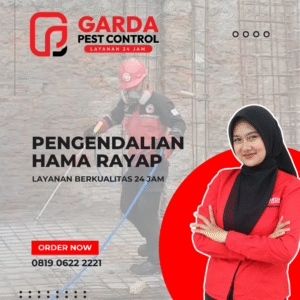 Promo Jasa Pembasmi Rayap di Pekalongan