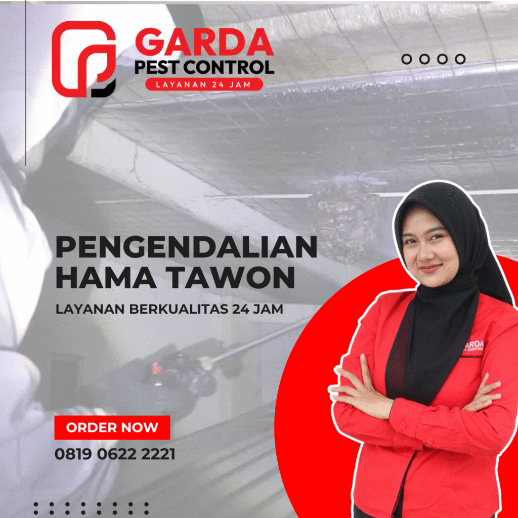 Jasa Pembasmi Sarang Tawon di Pekalongan Panggilan 24 Jam