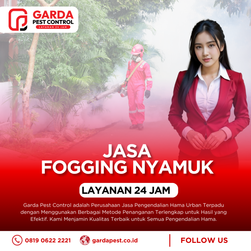 Jasa Fogging Nyamuk di Pekalongan Barat Ahlinya Basmi DBD