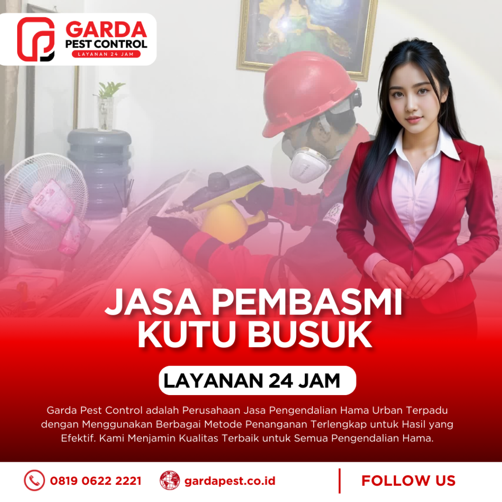 Jasa Pembasmi Tinggi Kutu Busuk di Pekalongan Bergaransi