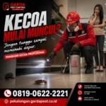 Jasa Pembasmi Kecoa di Pekalongan Spesialis Rumah dan Cafe