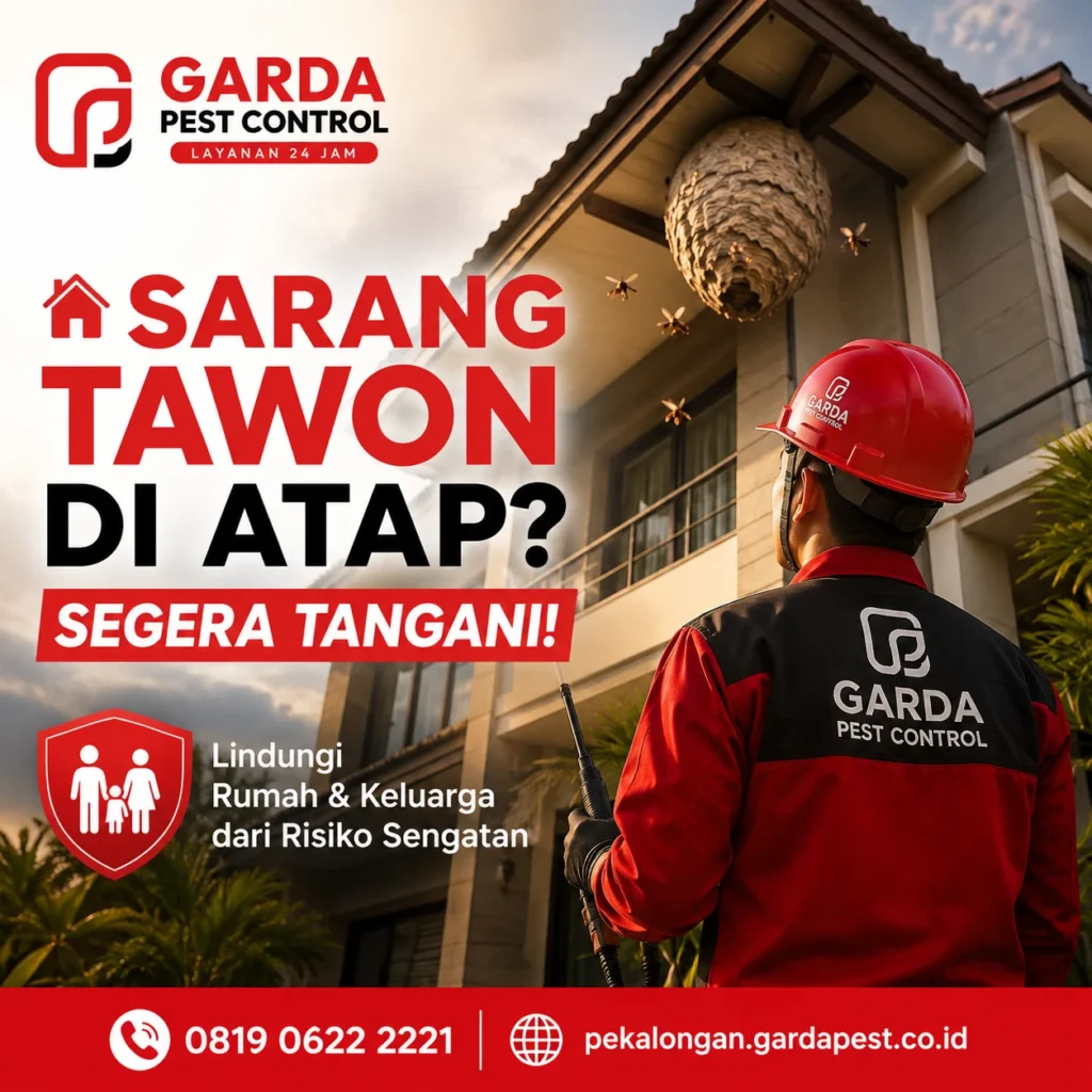 Jasa Pembasmi Tawon di Pekalongan Solusi Aman & Profesional