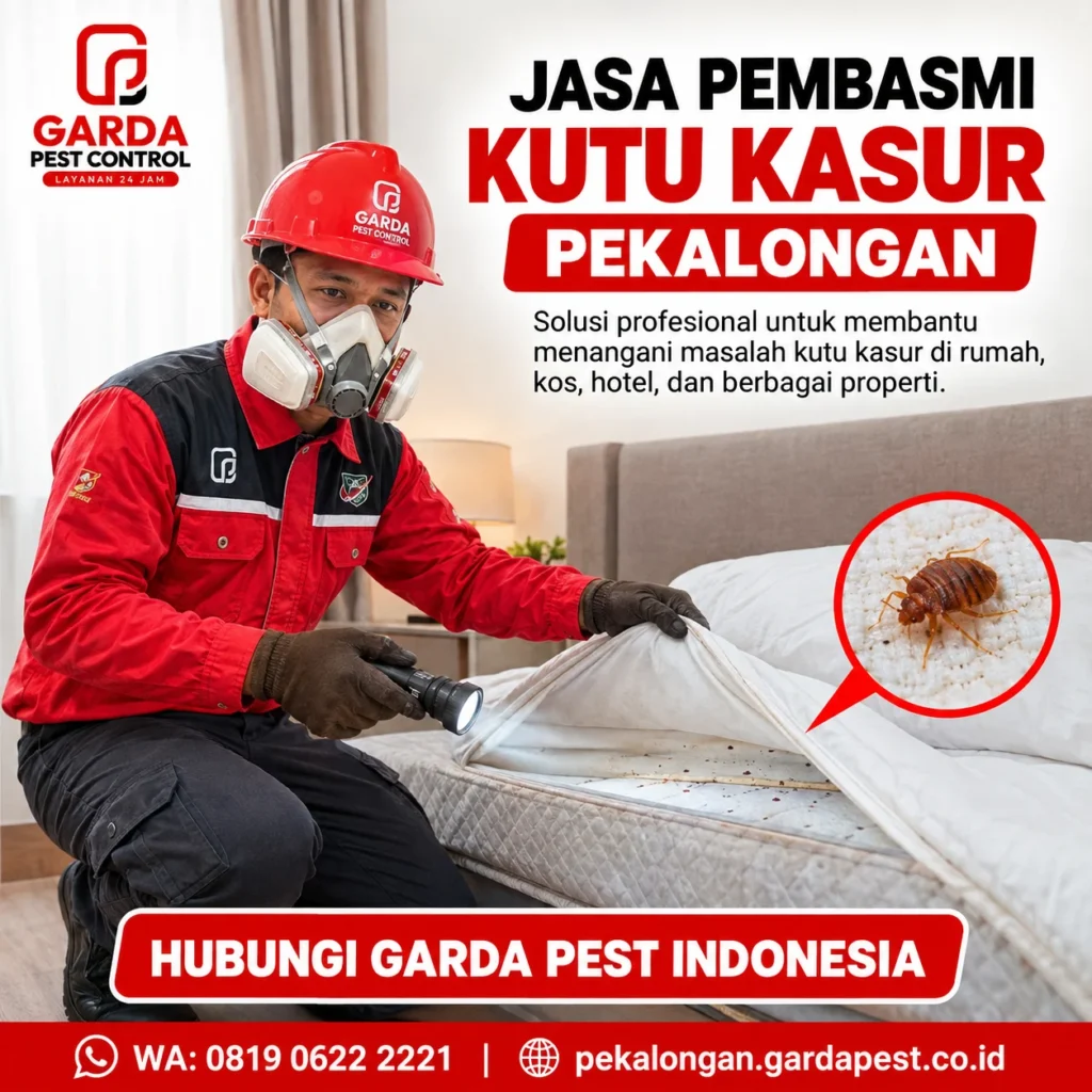 Jasa Pembasmi Kutu Kasur di Pekalongan Cepat dan Bergaransi