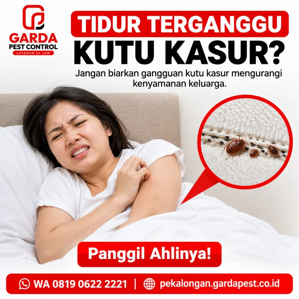 Jasa Pembasmi Kutu Kasur di Pekalongan